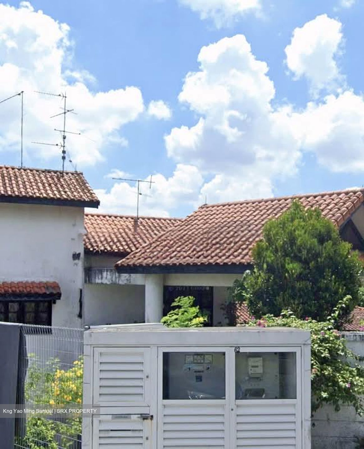 Leedon Park (D10), Detached #560796061